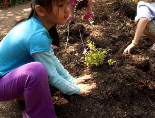 Tips for Veggie Gardening With Kids
