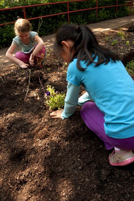 Tips for Veggie Gardening With Kids